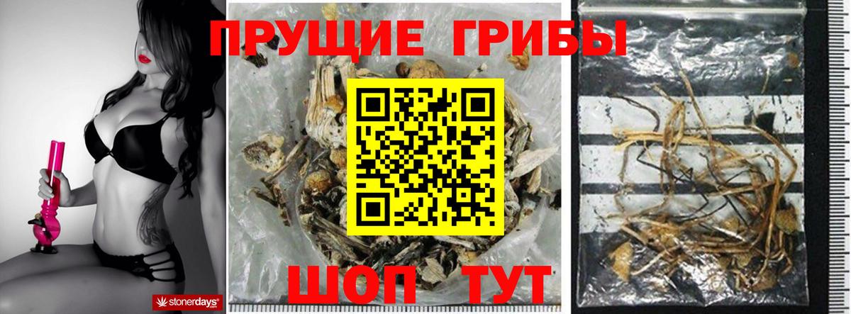 Псилоцибиновые грибы мухоморы  Вход с VPN  Киржач 